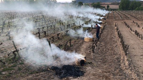Amaneceres bajo cero y de tensión entre los vitivinicultores de Rioja Alavesa