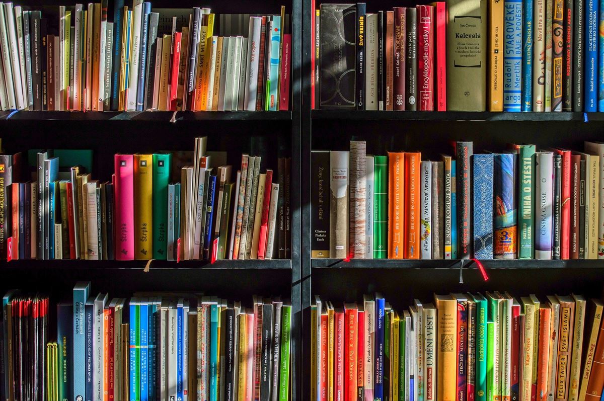 Libros en una estantería. Foto: Pixabay
