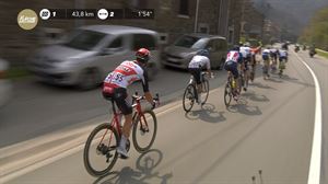 8 gizonek osotu dute ihesaldia