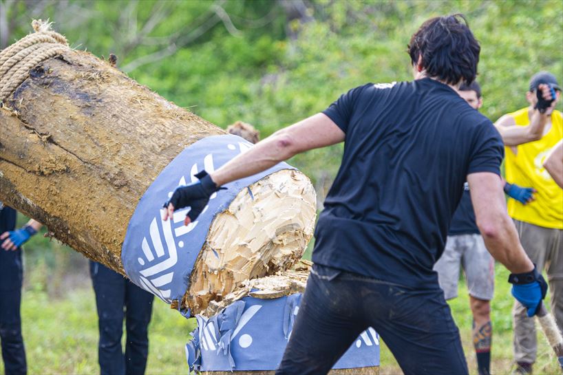 Cacata taldeak enborra mozten duen unea