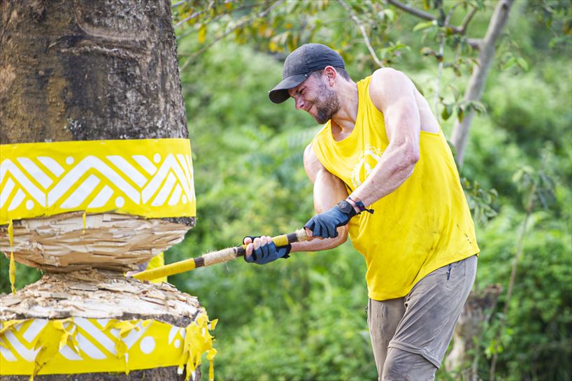 Berako, enborra mozten
