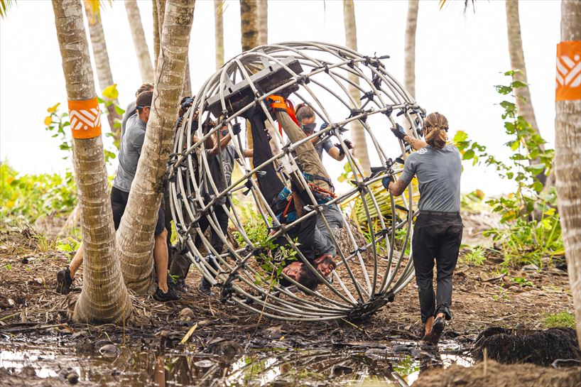 Cacata taldea, hamsterren jokoan