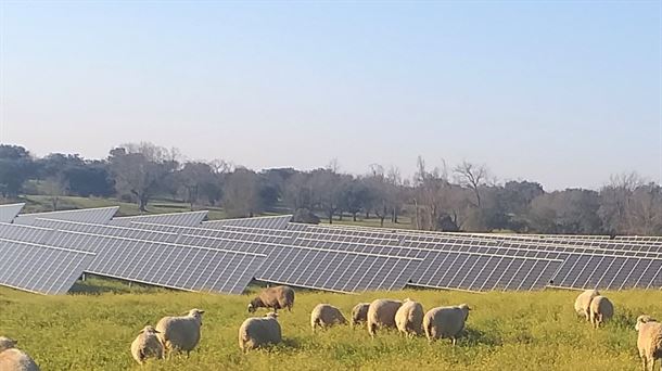 Solaria confirma que quiere instalar 2 plantas fotovoltaicas en Arratzua- Ubarrundia