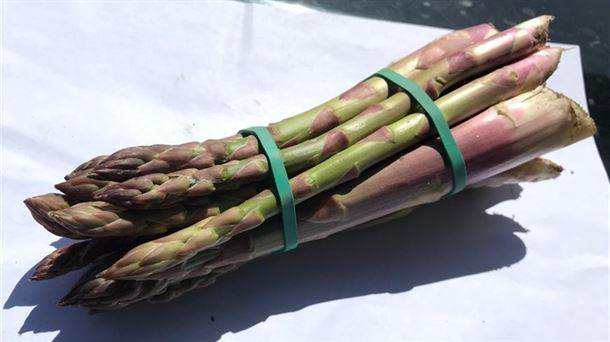 Croquetas con espárragos trigueros cultivados en el concejo de Faido