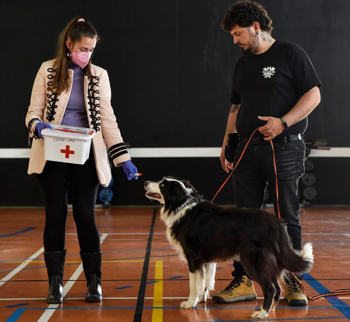 Entrenamiento para perros rastreador. Foto: Efe