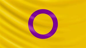 La bandera del orgullo intersexual fue creada en 2013 por Morgan Carpenter