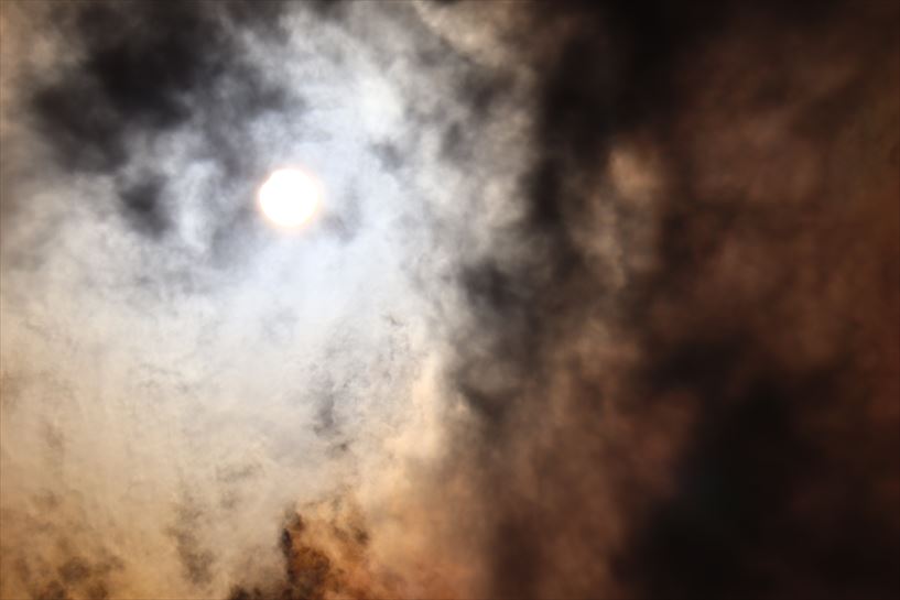 Argazkia: Txaro Ortíz de Zarate