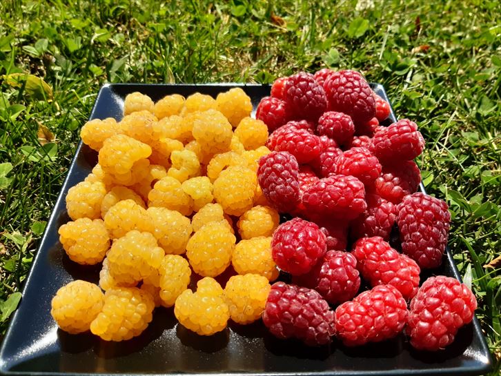 Imágenes aportadas por oyentes