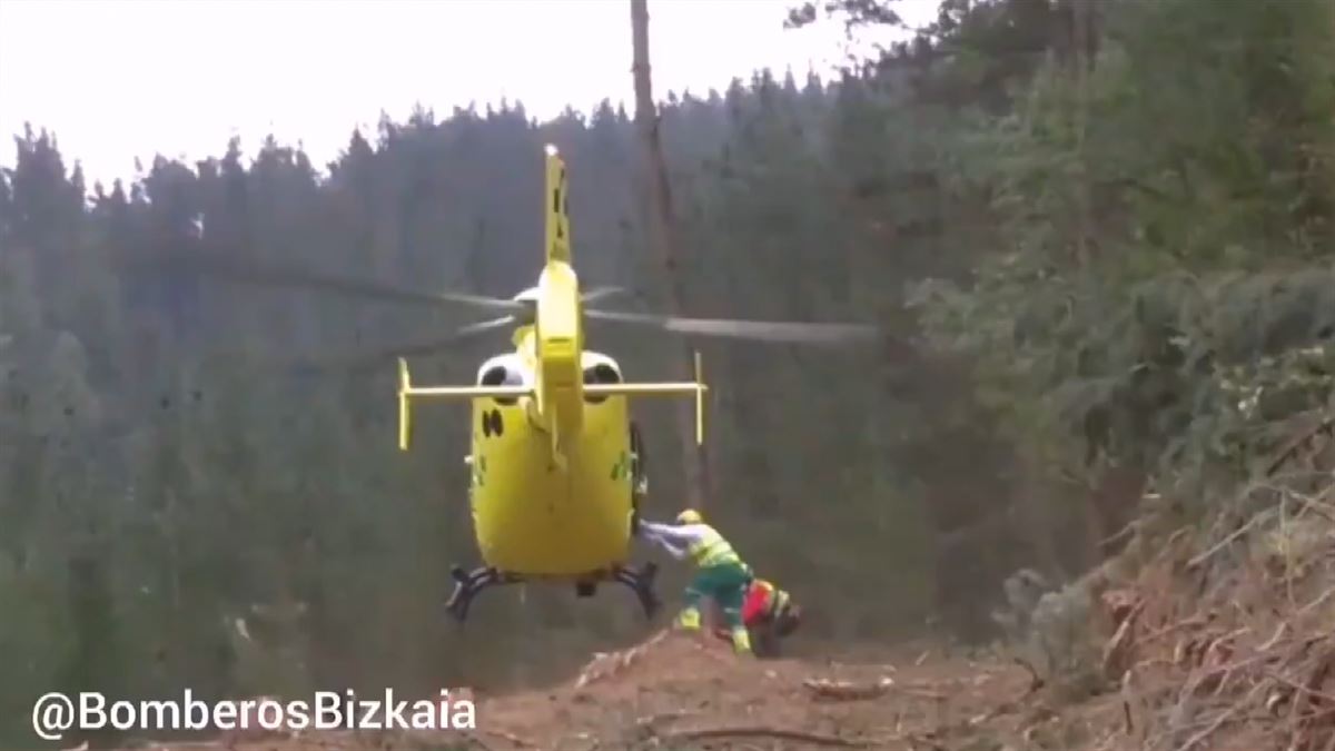 Helikoptero bat hildakoa lekuldatzen.