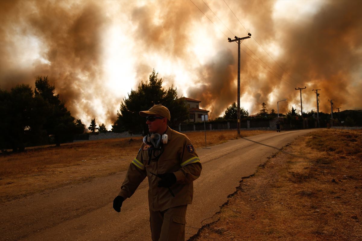 Los incendios están devorando hectáreas de bosque en el Mediterráneo oriental. Foto: EFE