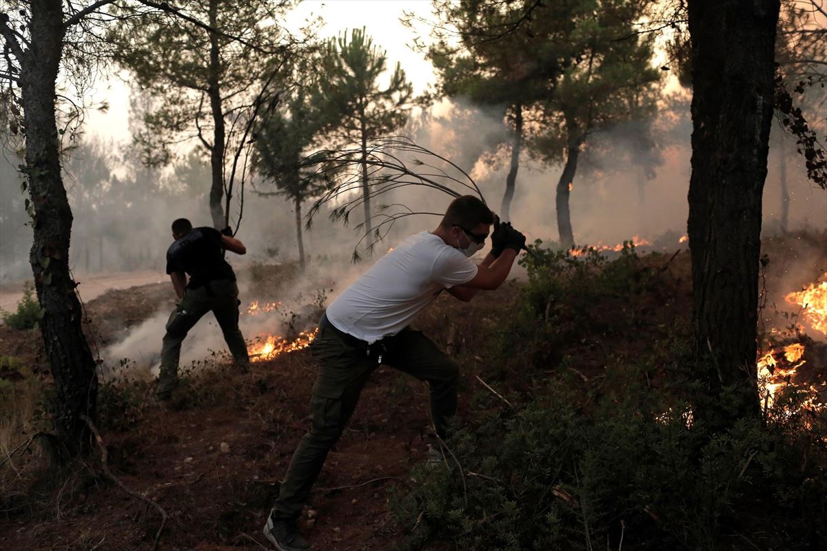 Jóvenes utilizan ramas de árboles para luchar contra un incendio cerca de Atenas