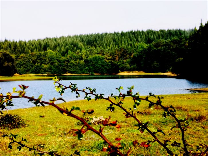 Aramaio. Argazkia: José Luis Madina