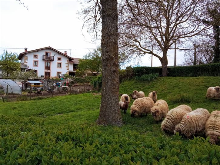 Zuia. Foto: EITB Media