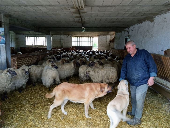 Zuia. Foto: EITB Media