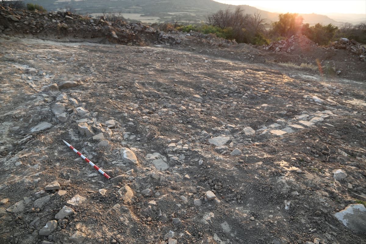 Imagen de los restos encontrados en Tafalla. Imagen cedida por Cultura-Navarra
