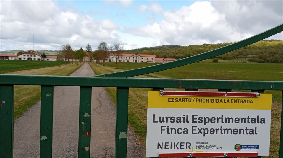 Iturrieta. Foto: EITB Media