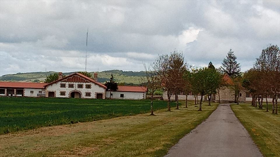 Iturrieta. Foto: EITB Media