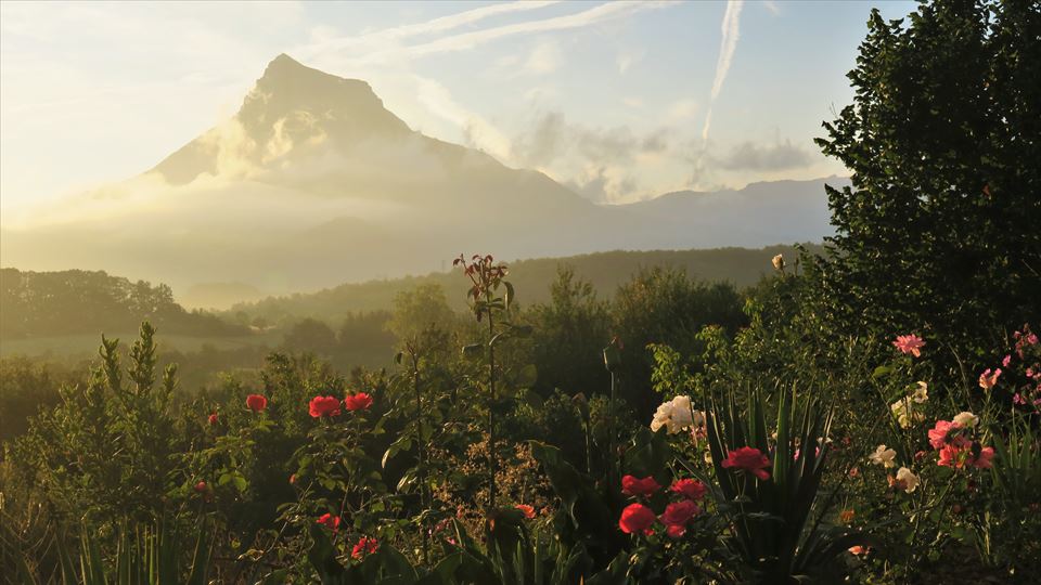 Etxarri-Aranatz. Araceli Markotegi