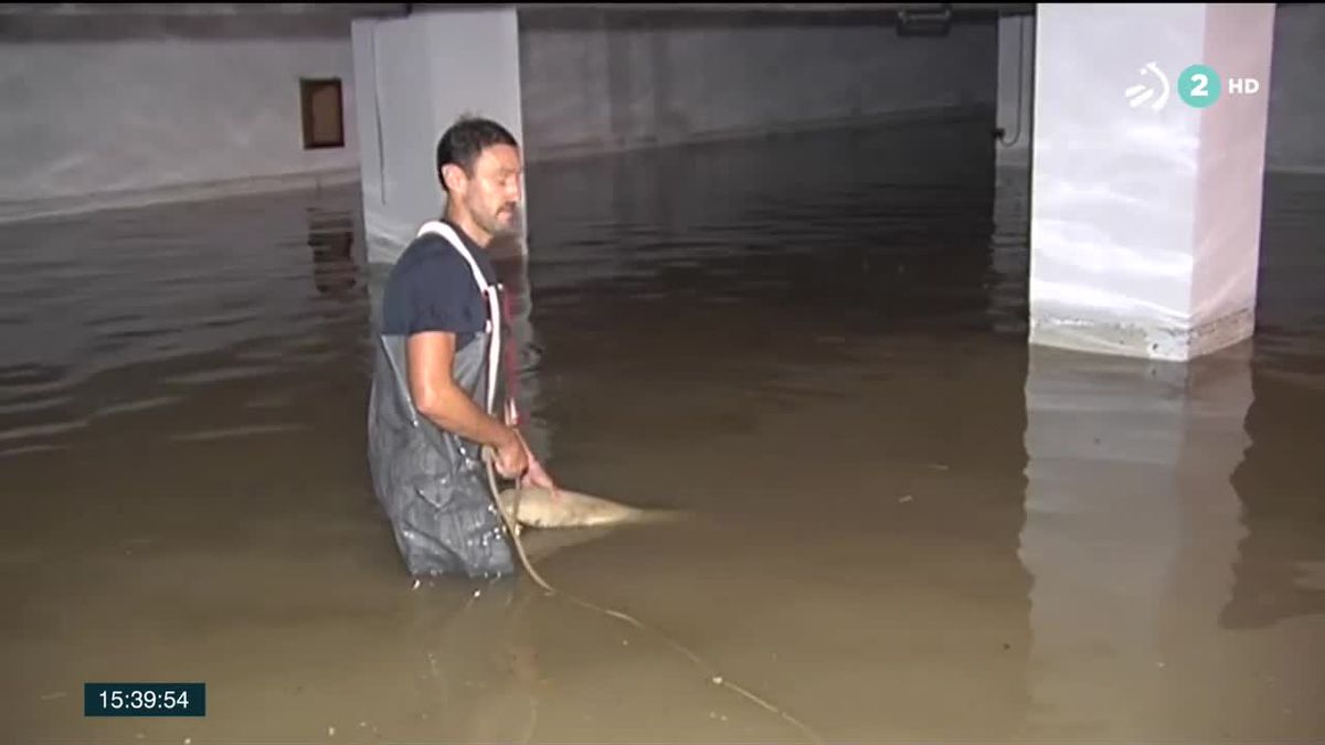 Las fuertes precipitaciones provocan diversas inundaciones en el sur de Navarra