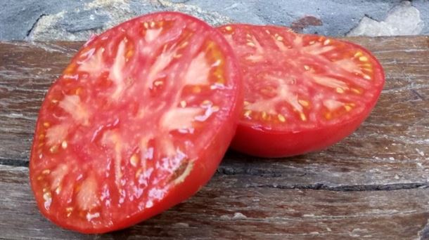 De junio hasta noviembre, este tomate triunfa en muchas mesas                                       