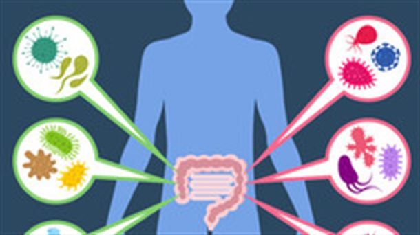 Alimentar mejor a los microbios intestinales ¿puede mejorar la salud mental? y los nombres de los números