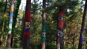El Bosque de Ibarrola será pintado en otro pinar de Oma y abrirá parcialmente en verano de 2022