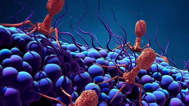 Bacteriófagos: comedores de bacterias