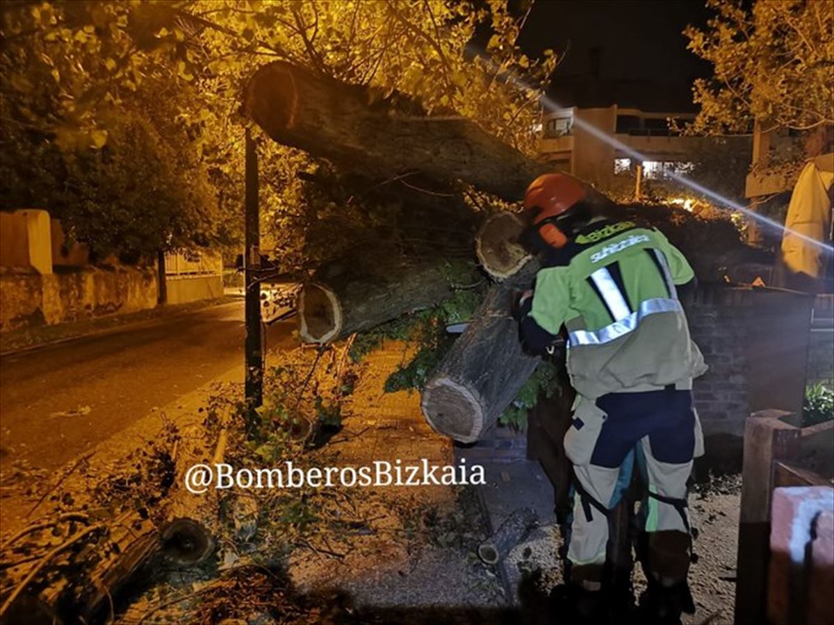 Bomberos intervienen por caídas de árboles en Bizkaia. Foto: @BomberosBizkaia