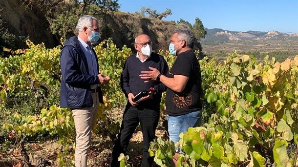 Álava seguirá trabajando por la diferenciación del vino de Rioja Alavesa "sin aceptar vetos de nadie"
