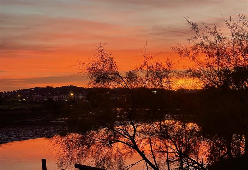 Argazkia: José María Vega Nieto