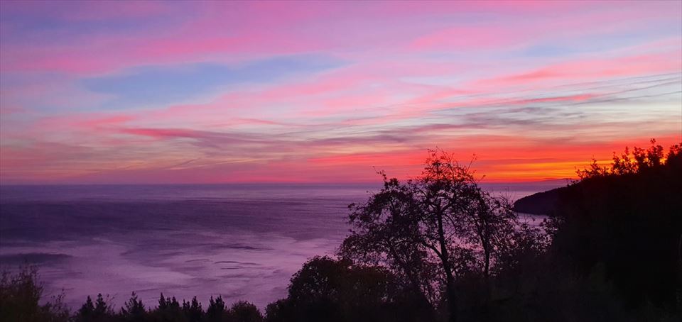 Argazkia: Javi Onandia