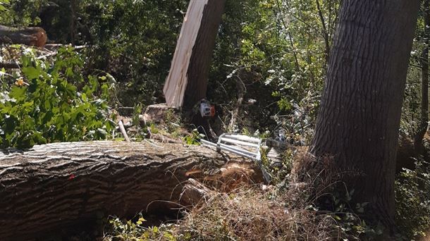 Accidente laboral forestal en Zambrana