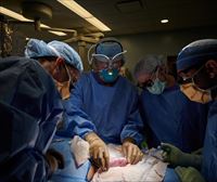 Genetikoki eraldatutako txerri baten giltzurruna transplantatu diote 62 urteko estatubatuar bati
