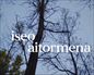 Iseo: ''Aitormena''