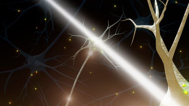 representación de neurona - DIPC