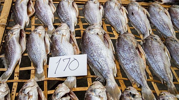 El consumo de pescado por persona y año de las ciudadanía vasca es superior al europeo