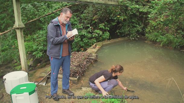 El agua, del bosque al río
