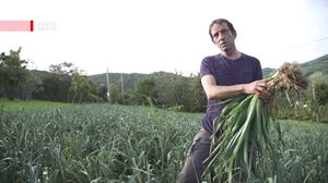 Ekorlegi baratzeko porruak nola lantzen dituzten ikusi dugu