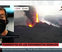 Itahiza Domínguez, sismólogo: La ceniza acumulada es muy importante