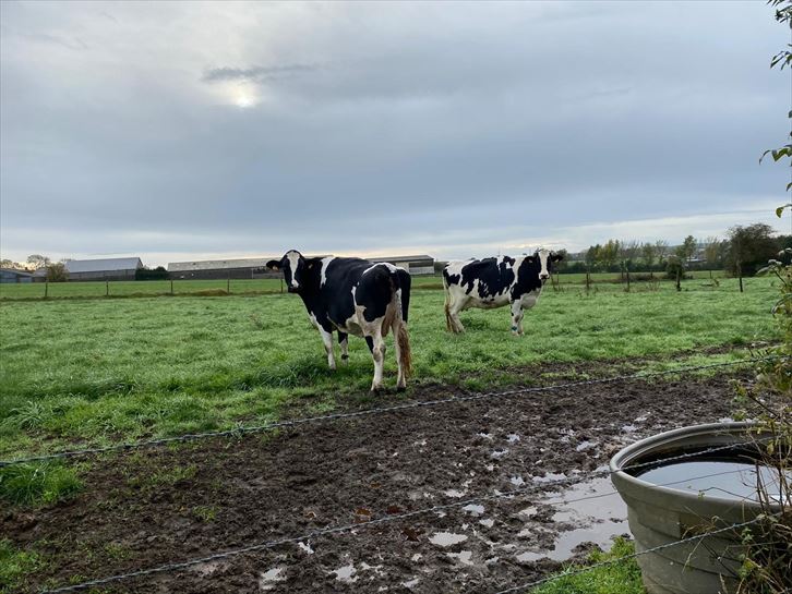 Bilbo-Glasgow, 4. etapa. Argazkia: EITB Media.