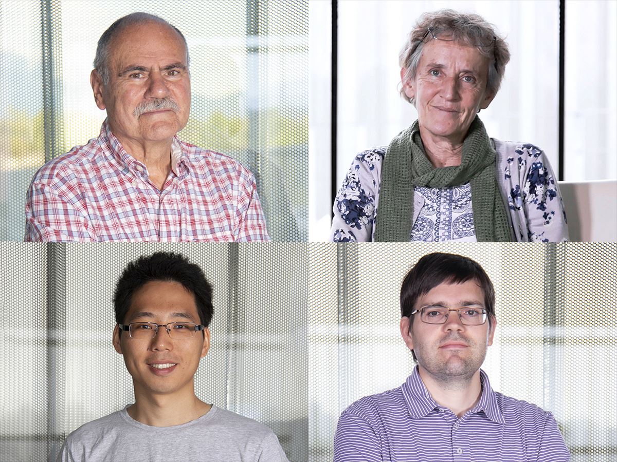 Michel Armand, Elena Palomo, Javier Carrasco y Heng Zhang. Foto: CIC energiGUNE 