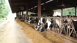 ENBA pide a Mercadona que suba el precio de la leche ''porque es el líder en ventas en el estado''