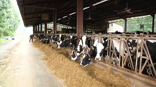 ENBA pide a Mercadona que suba el precio de la leche ''porque es el líder en ventas en el estado''