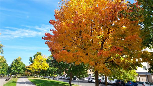 Otoño