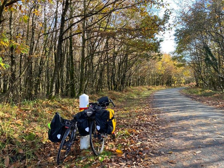 Caenetik Portsmouthera 