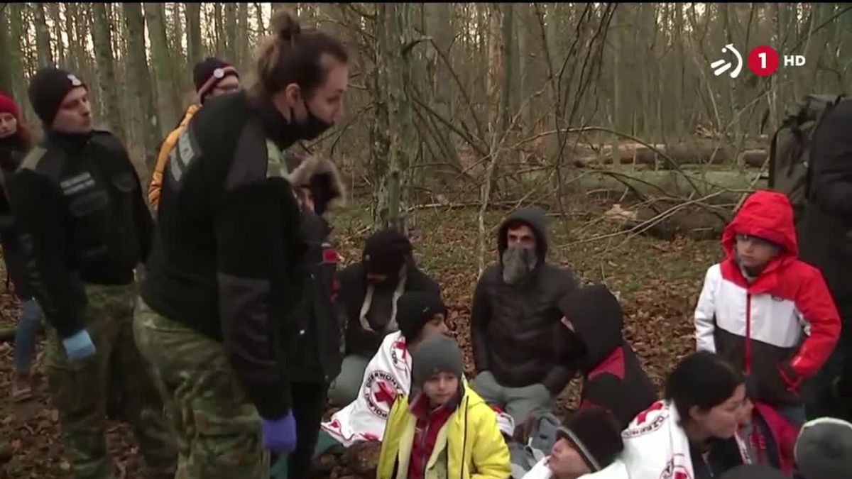 Familia asko banandu egiten dira Bielorrusiako eta Poloniako muga zeharkatu ostean
