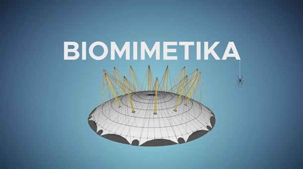 Zientzia animatua: Biomimetika