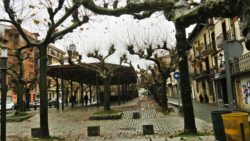 Etxarri-Aranatz. Argazkia: Araceli Markotegi Arbizu