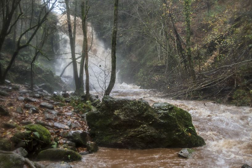 Baztan. Argazkia: Juan Lameirinhas