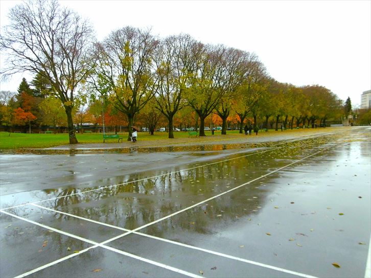 Iruñea. Argazkia: Txelo Fernández